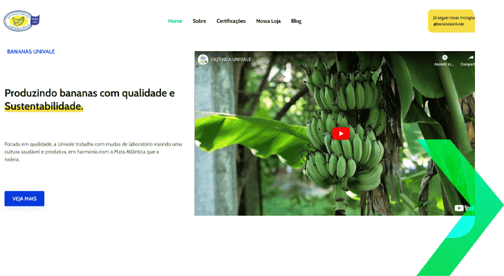 Fazenda Univale agro mkt