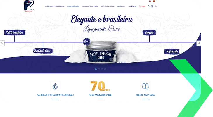 Sal Cisne- Criação de Site