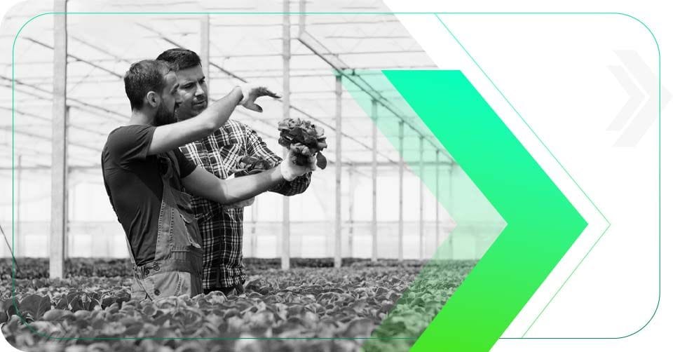 6 Vantagens da Consultoria de Marketing Agrícola para Seu Negócio