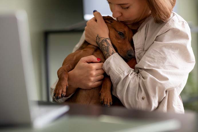 O Futuro dos Cuidados Veterinários: Conectando com Donos de Pets no Mundo Digital 21 adoção de pets e divulgação com marketing digital para clínicas veterinárias