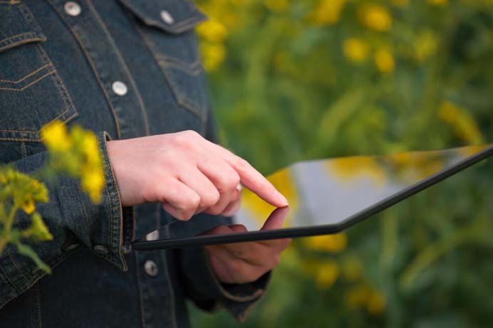 7 Estratégias de Marketing no Agronegócio que Você Precisa Conhecer 19 SEO mkt Agro