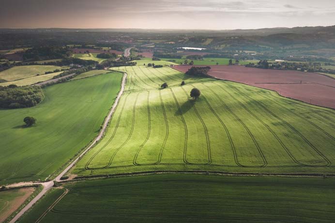 A Revolução do Agronegócio: Como Drones Estão Transformando o Marketing Rural 21 sustentabilidade no marketing rural